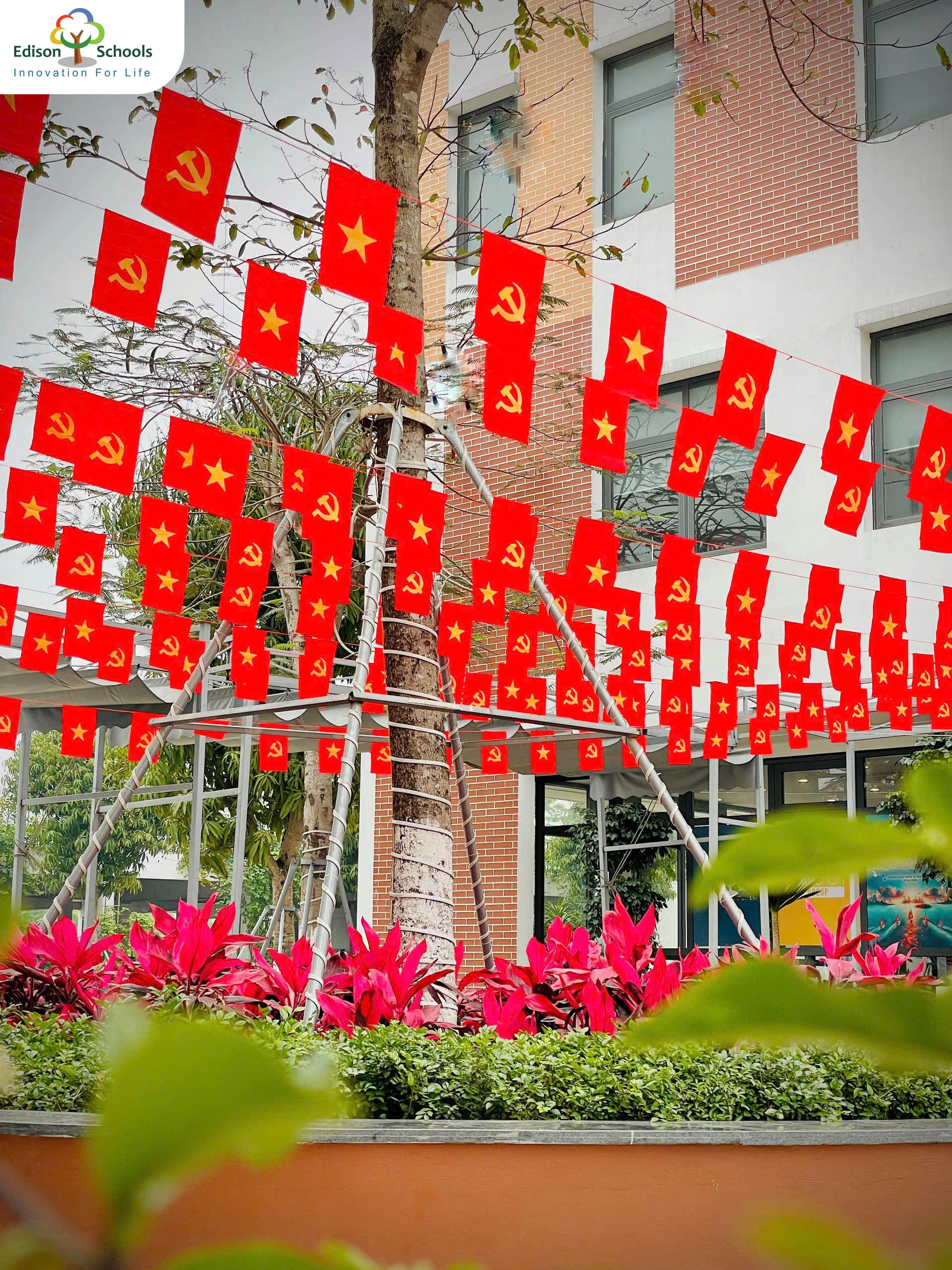 Hòa bình thật đẹp với sắc cờ đỏ sao vàng rực rỡ phủ khắp Edison Schools